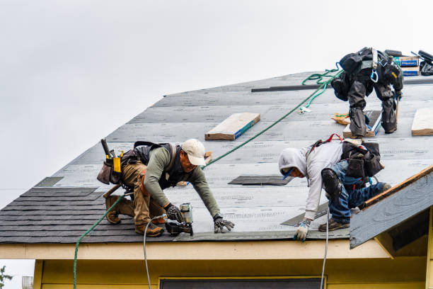 Professional Storm Damage Roof Repair technician working in Linwood, NY